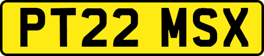 PT22MSX