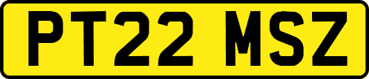 PT22MSZ