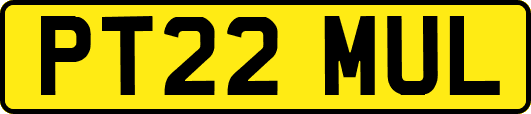 PT22MUL