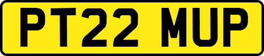 PT22MUP