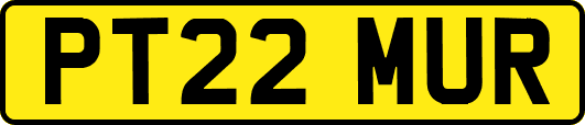 PT22MUR