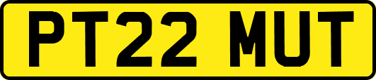 PT22MUT