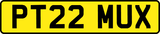 PT22MUX