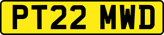 PT22MWD