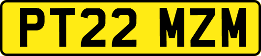 PT22MZM