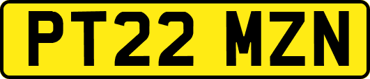 PT22MZN