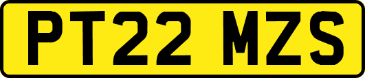 PT22MZS