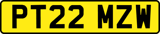PT22MZW