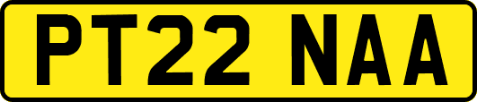 PT22NAA