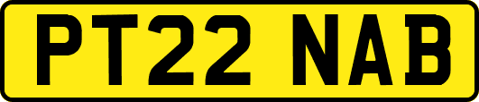 PT22NAB
