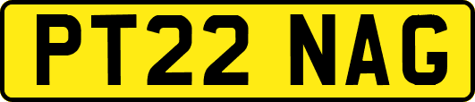 PT22NAG