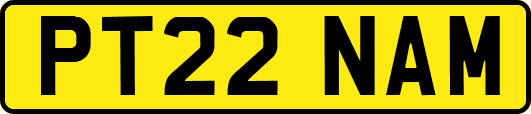 PT22NAM