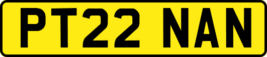 PT22NAN