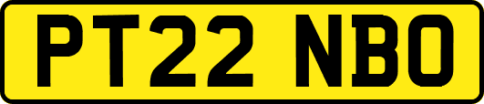 PT22NBO