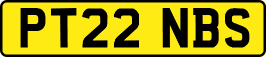 PT22NBS
