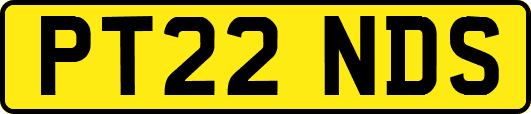 PT22NDS