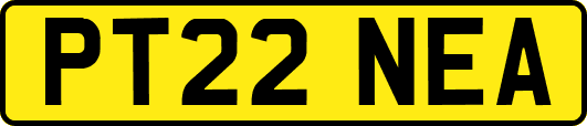 PT22NEA