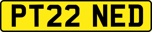 PT22NED