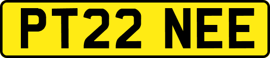 PT22NEE