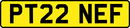 PT22NEF