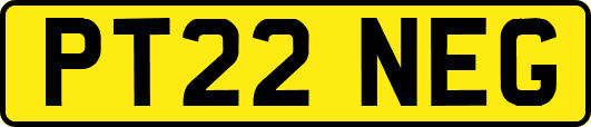 PT22NEG