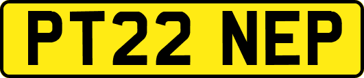 PT22NEP