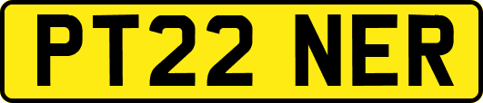 PT22NER