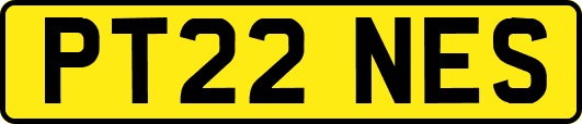 PT22NES