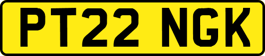 PT22NGK