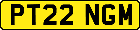 PT22NGM