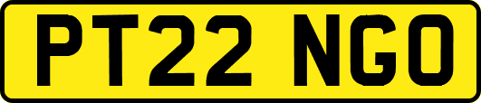 PT22NGO