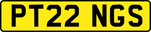PT22NGS