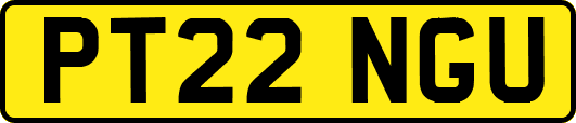 PT22NGU