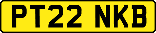 PT22NKB