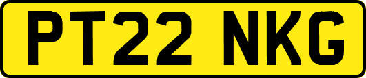 PT22NKG