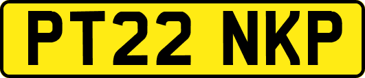PT22NKP