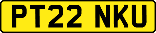 PT22NKU