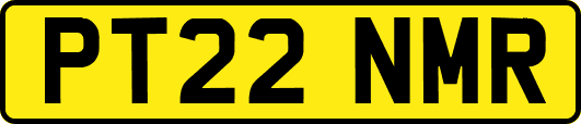 PT22NMR