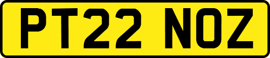 PT22NOZ