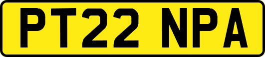 PT22NPA