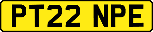 PT22NPE