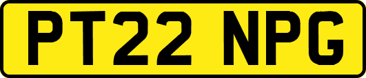 PT22NPG
