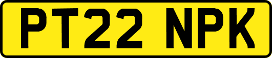 PT22NPK