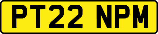 PT22NPM