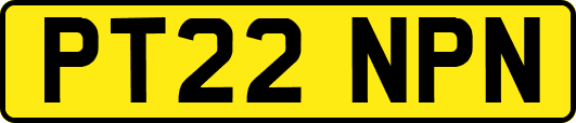 PT22NPN