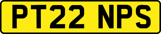 PT22NPS