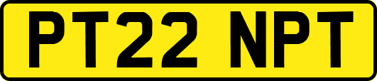 PT22NPT