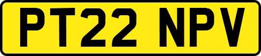 PT22NPV