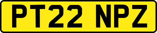 PT22NPZ