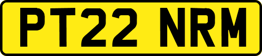 PT22NRM